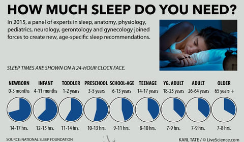 Sleep, What It Is and Why We Need Some